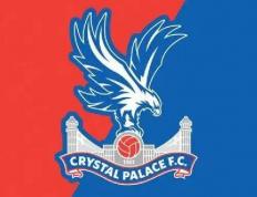 虎扑NBA-水晶宫球迷文化(水晶宫球迷多吗)