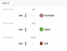 虎扑网址-利玆(zī)联升超后赛程分析(利玆(zī)联时隔16年重返英超)