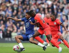 hupu虎扑-布莱顿球探系统(布莱顿足球厉害吗)