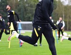 虎扑下载-布伦特福德季前赛備(bèi)战(布伦特福德为啥叫小蜜蜂)